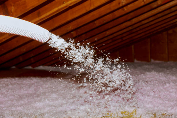 Best Insulation Maintenance and Repair in Deridder, LA